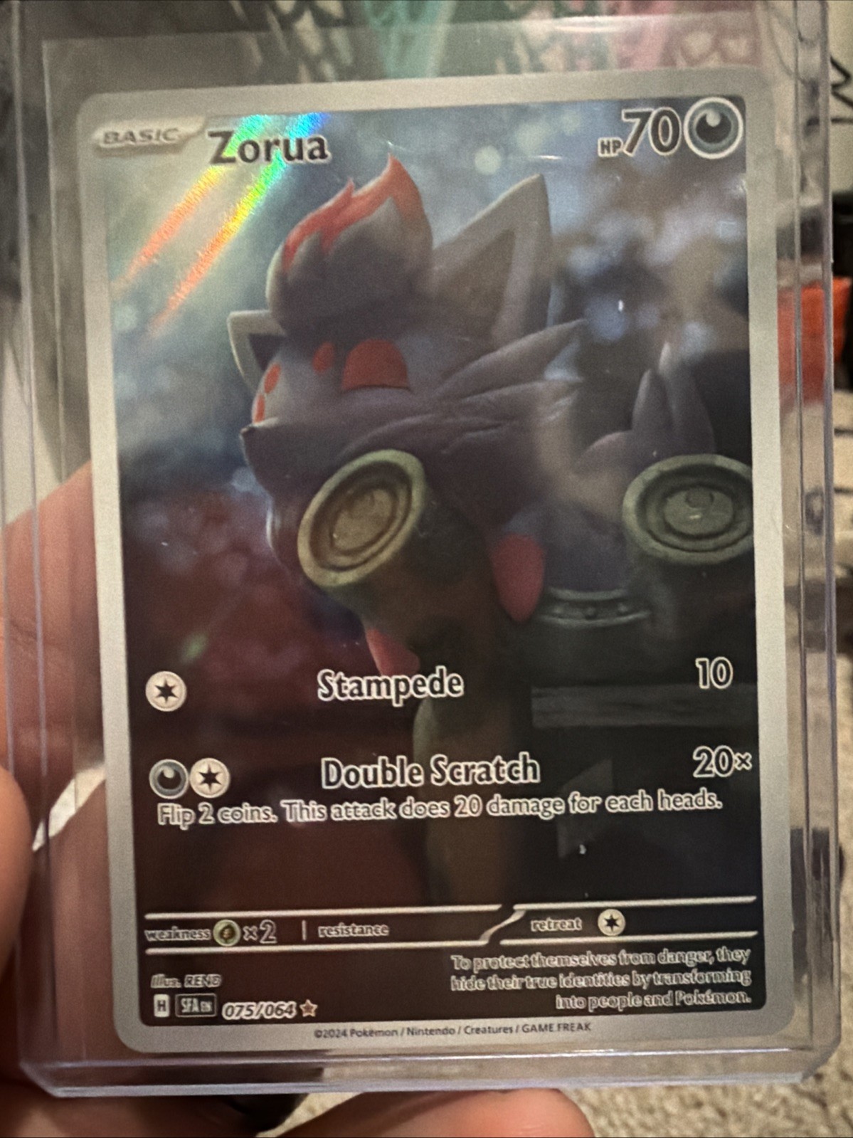 Pokemon TCG Zorua 075/064