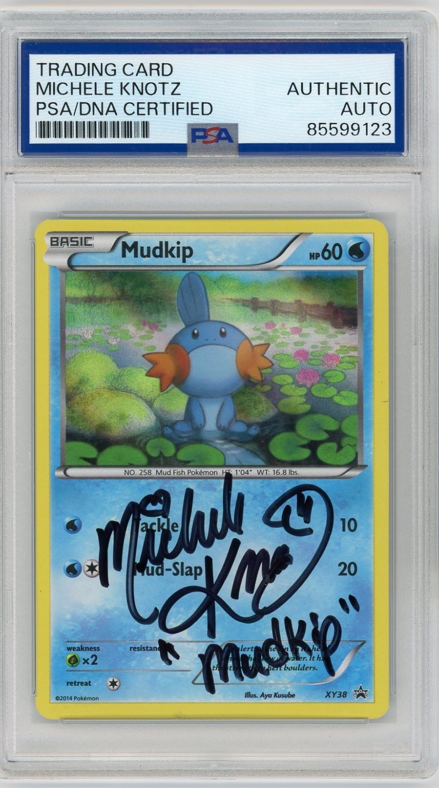 PSA Authentic Signed Michele Knotz Pokemon TCG Mudkip XY38 Black Star Promo Holo