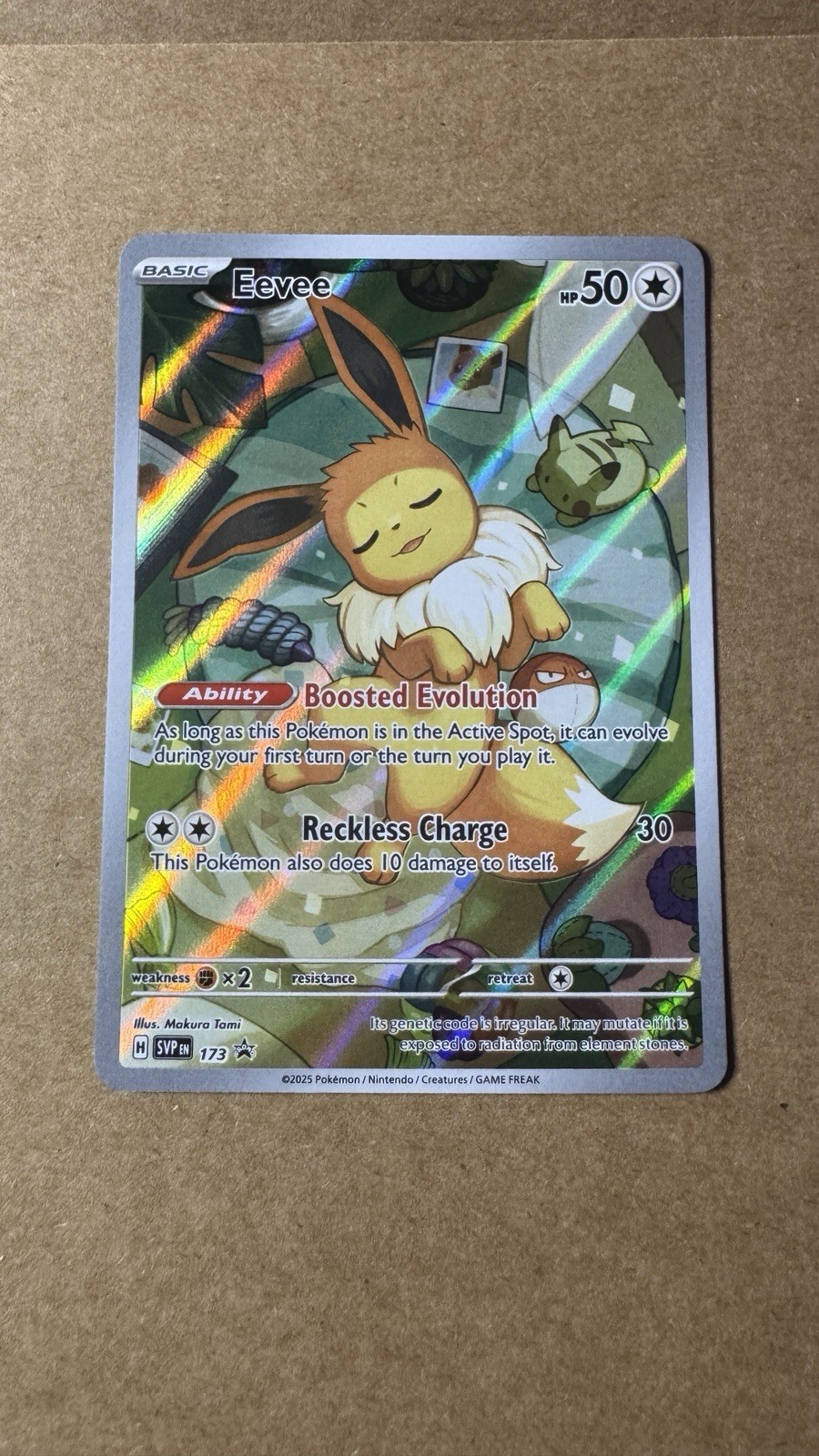 Pokemon TCG Eevee SVP 173 Promo Holo English 2025 Basic Makura Tami