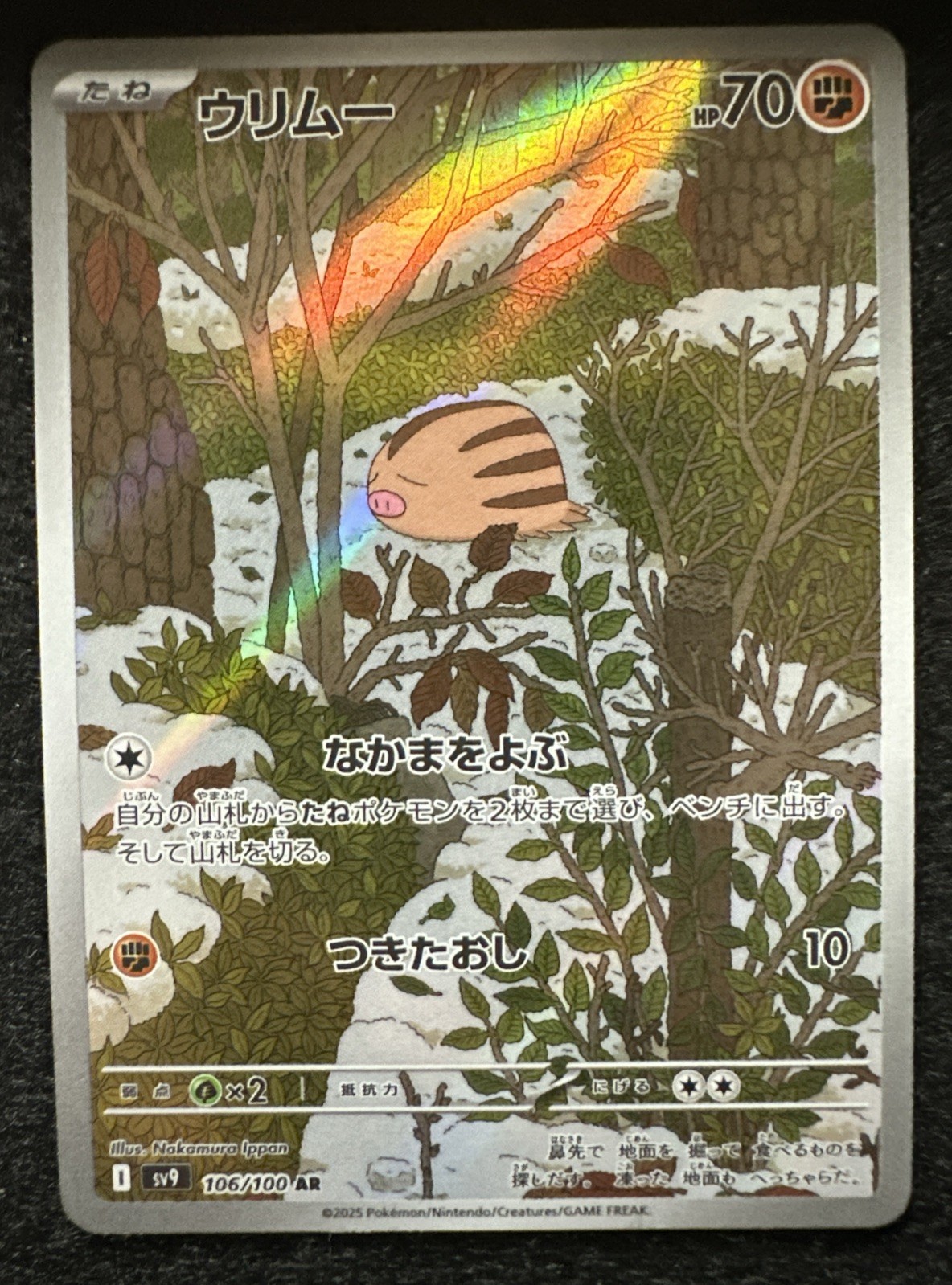 Pokémon TCG Swinub 106/100 Korean SV9: Battle Partners Art Rare NM