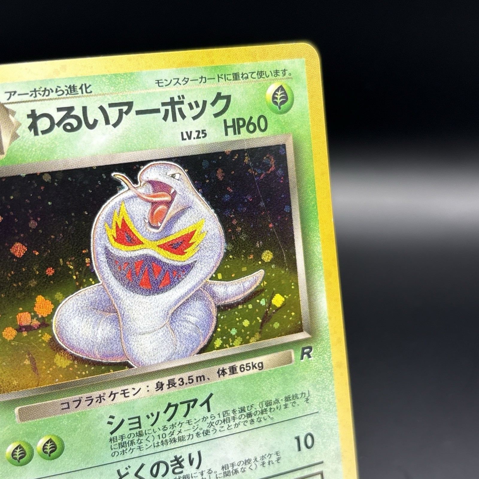 1997 Pokémon Japanese Rocket Gang Holo #24 – DARK ARBOK half swirl (read Below)