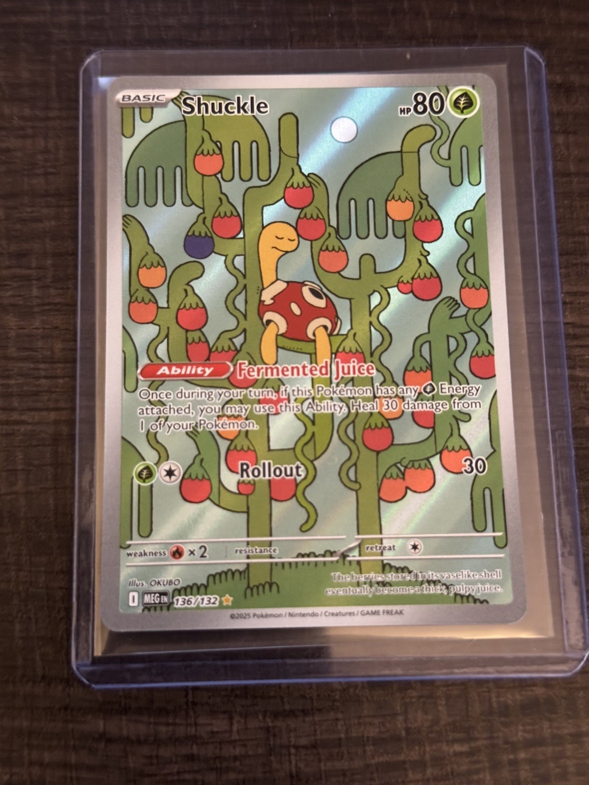 Shuckle 136/132 ME01: Mega Evolution Pokemon TCG NM