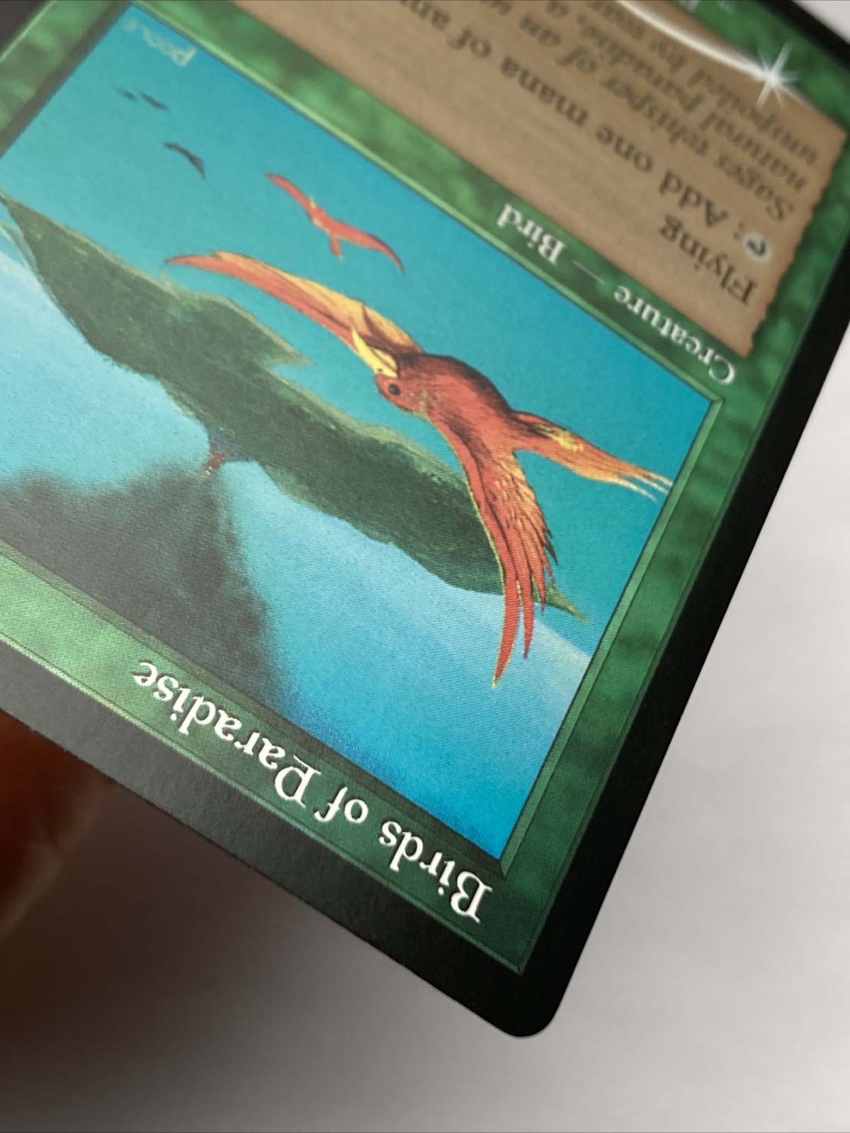 MTG Birds of Paradise *RETRO FRAME FOIL* Dominaria Remastered 336 NM