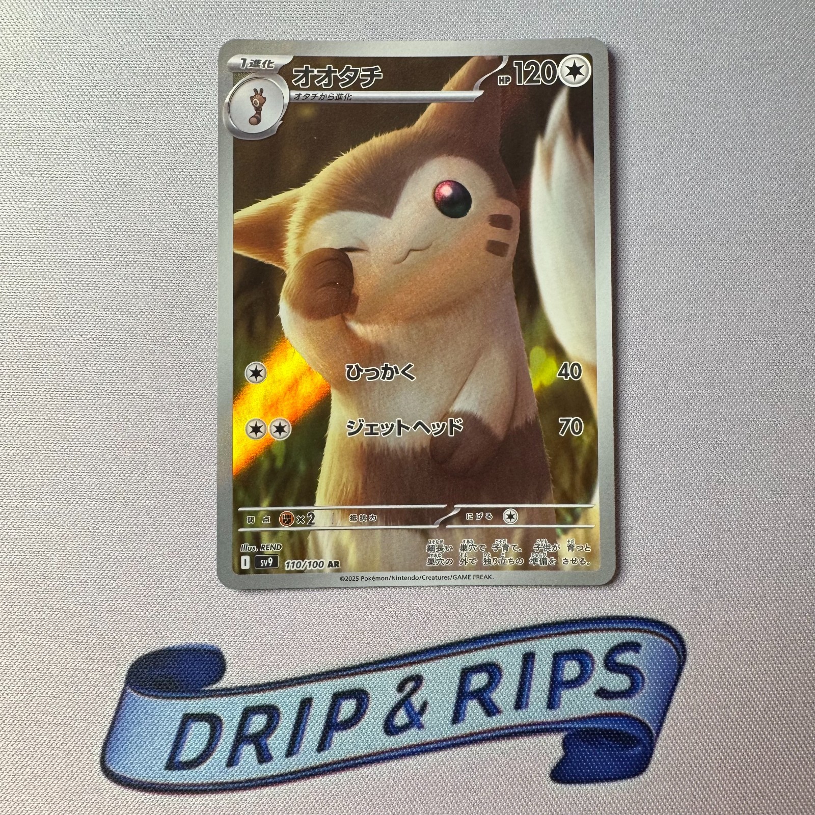Furret AR 110/100 Battle Partners sv9 Japanese Pokemon Card Near Mint