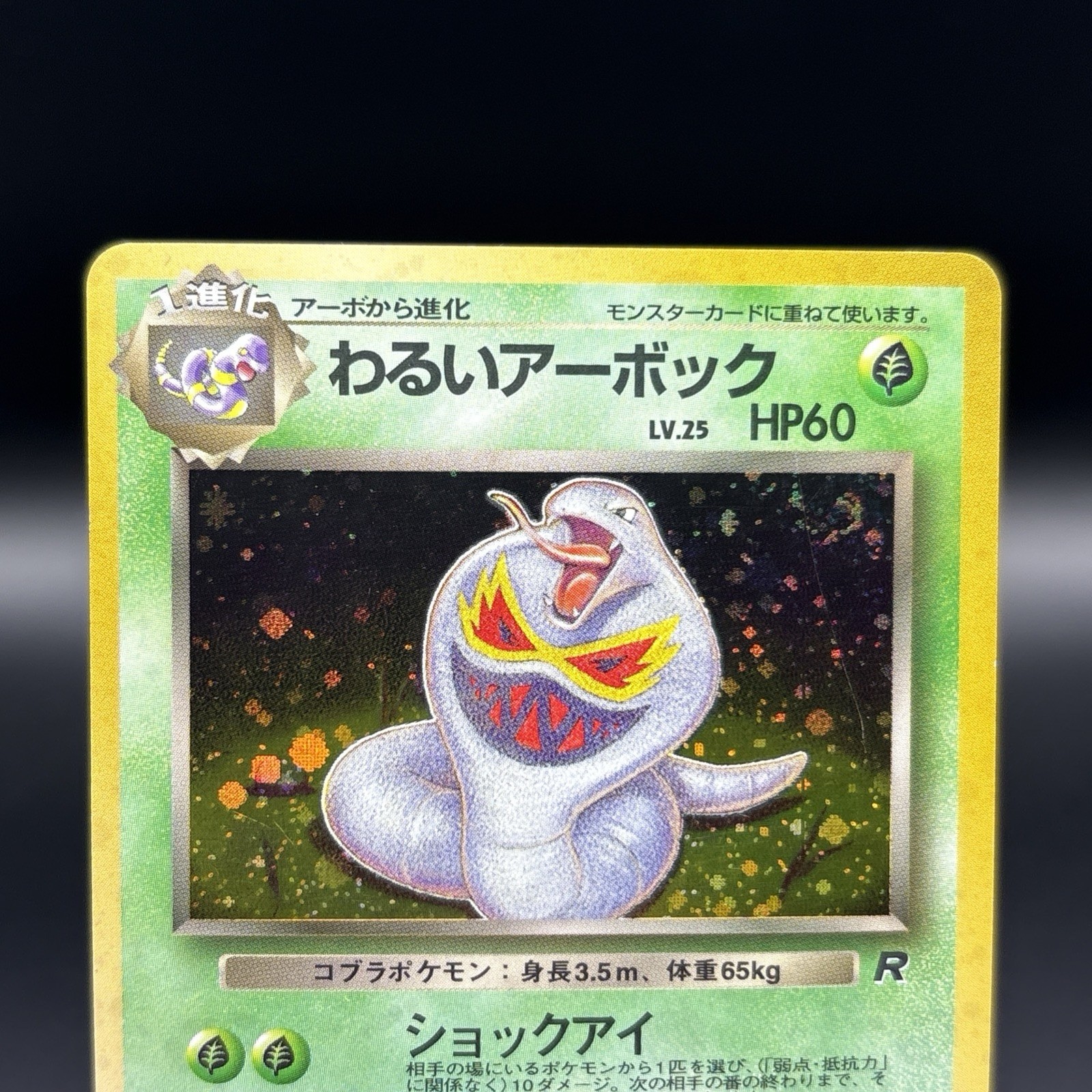 1997 Pokémon Japanese Rocket Gang Holo #24 – DARK ARBOK half swirl (read Below)
