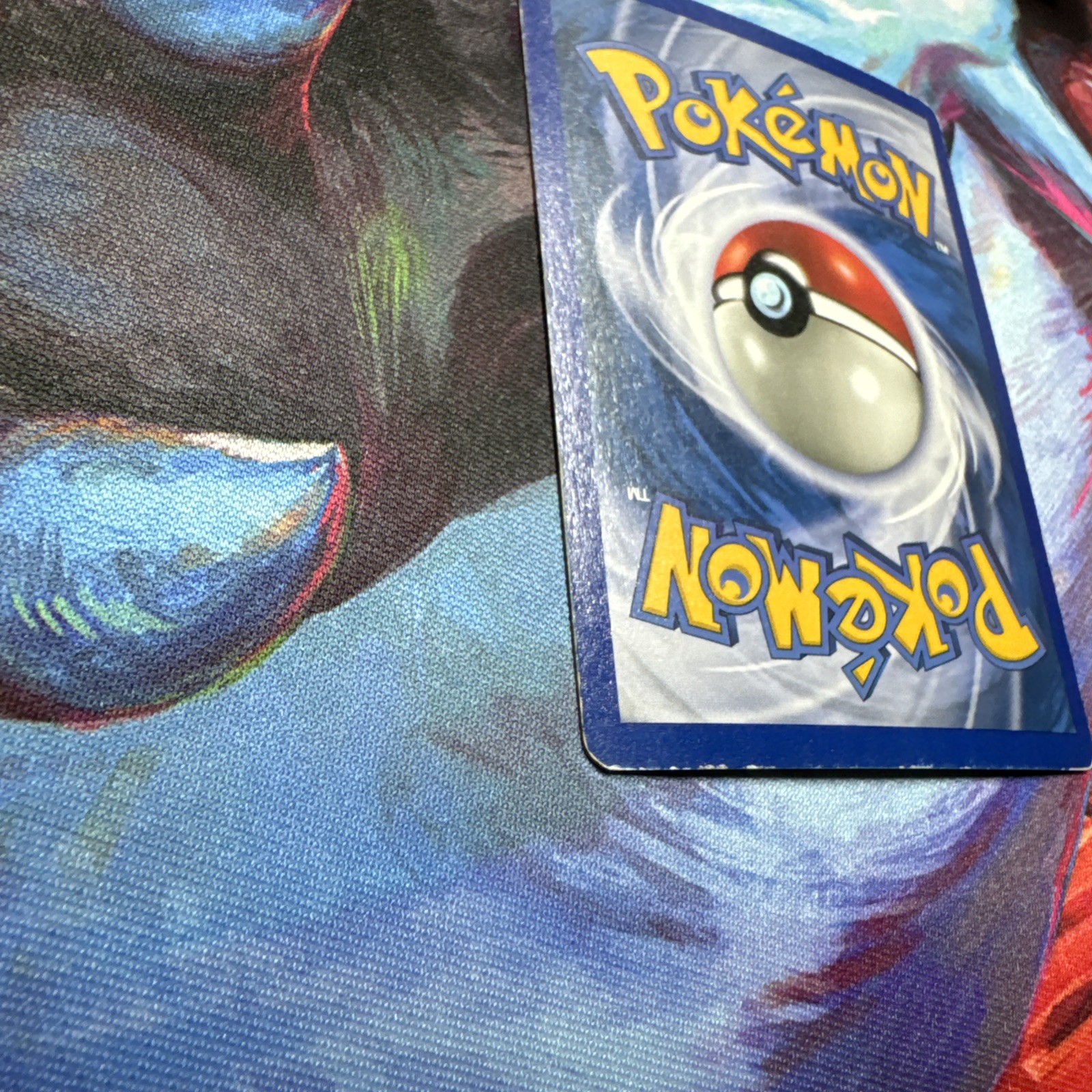 Pokemon TCG **ITALIAN**Totodile 135/165 Expedition Base Set Reverse Holo