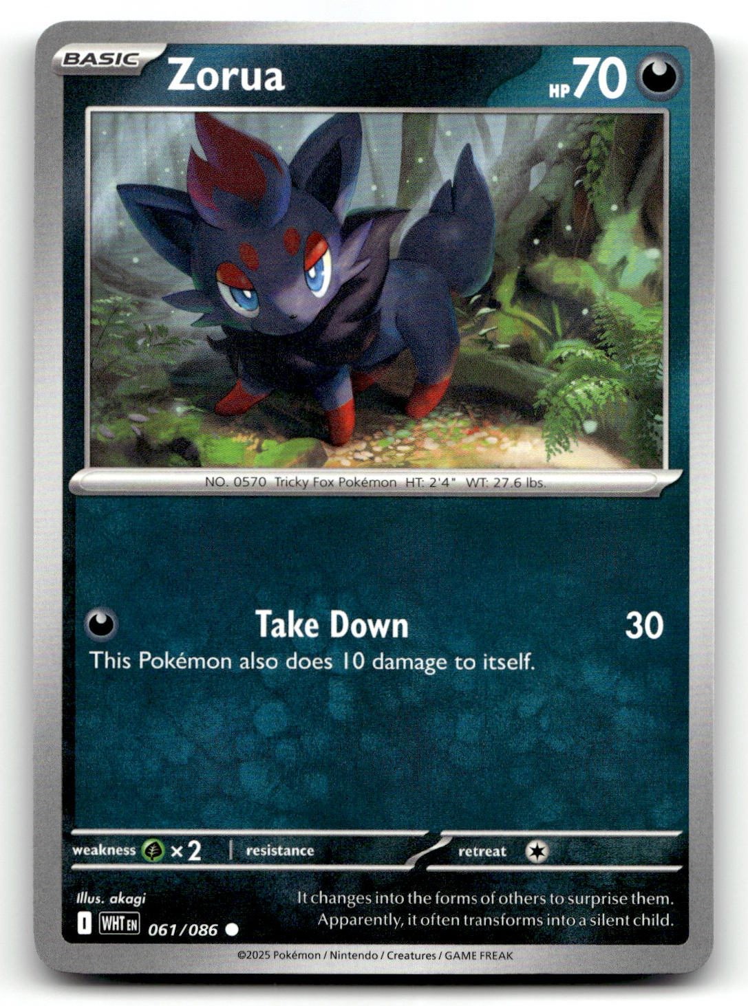 Zorua 061/086 Common SV: White Flare Pokemon NM